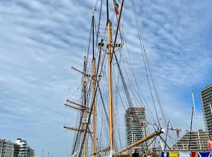 Cousteau - Terras, Zeezicht, Marina 奥斯滕德